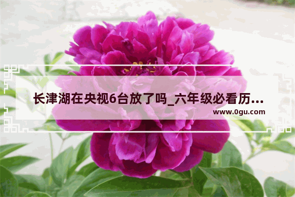 长津湖在央视6台放了吗_六年级必看历史电影是什么