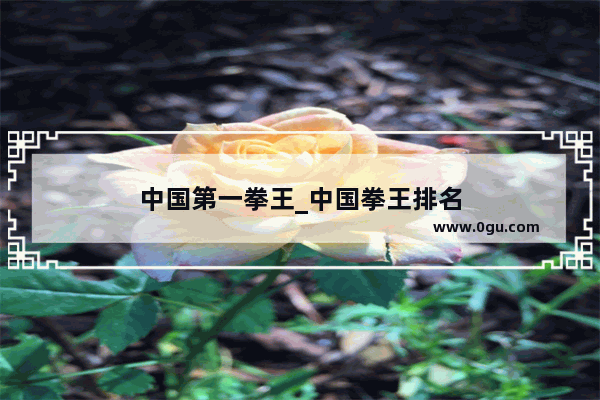中国第一拳王_中国拳王排名
