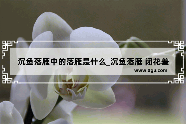 沉鱼落雁中的落雁是什么_沉鱼落雁 闭花羞月 哪个是形容王昭君的