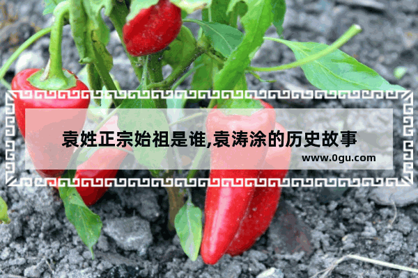 袁姓正宗始祖是谁,袁涛涂的历史故事