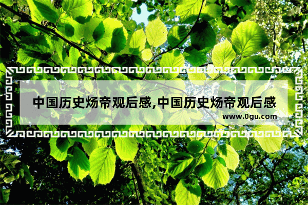 中国历史炀帝观后感,中国历史炀帝观后感