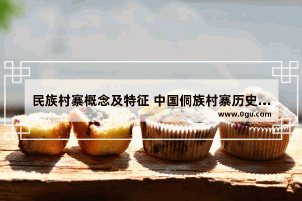 民族村寨概念及特征 中国侗族村寨历史文化研究