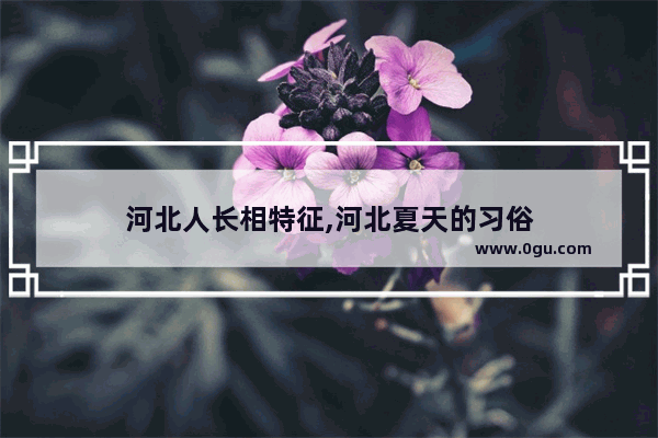 河北人长相特征,河北夏天的习俗