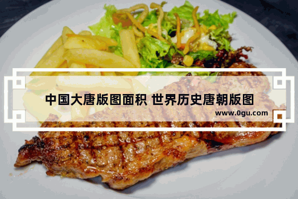 中国大唐版图面积 世界历史唐朝版图