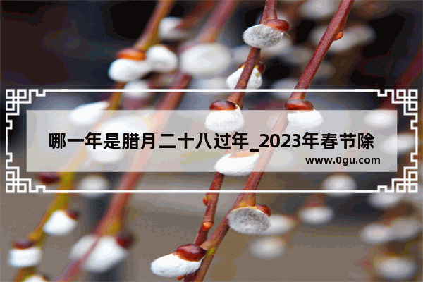 哪一年是腊月二十八过年_2023年春节除夕有三十夜吗
