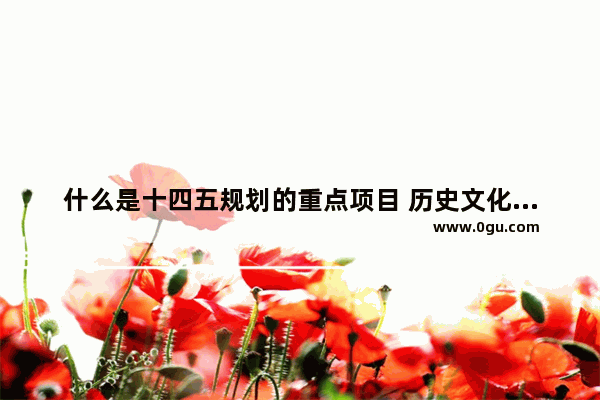 什么是十四五规划的重点项目 历史文化科考了378分