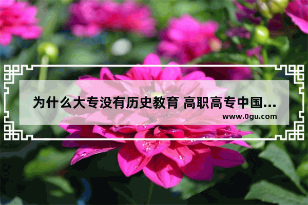 为什么大专没有历史教育 高职高专中国历史