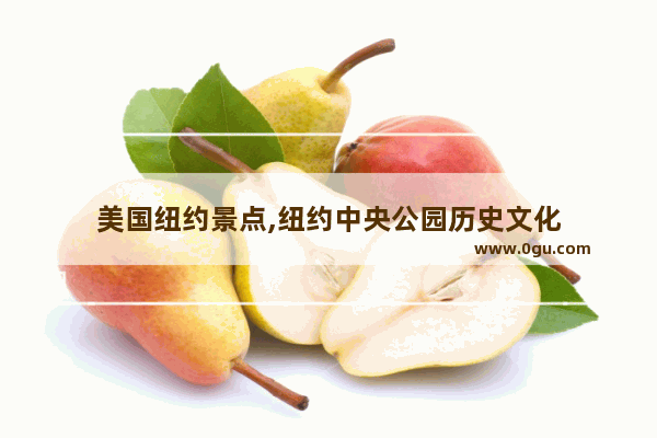 美国纽约景点,纽约中央公园历史文化