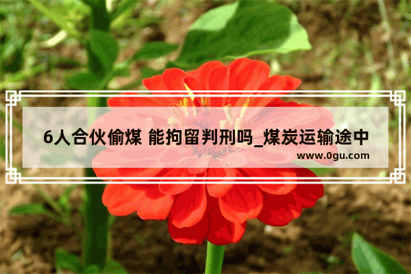 6人合伙偷煤 能拘留判刑吗_煤炭运输途中如何防止偷煤换煤情况
