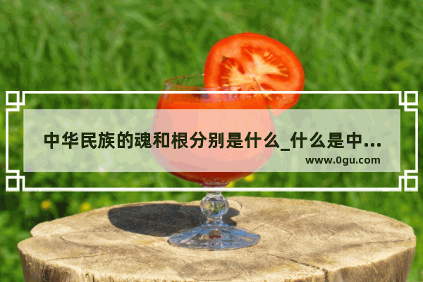 中华民族的魂和根分别是什么_什么是中华民族的重要组成部分 是中华民族的根和魂