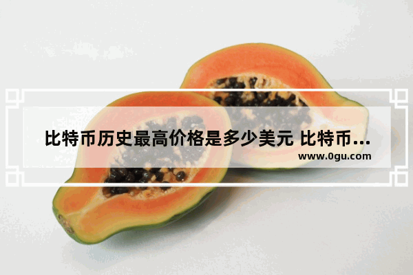 比特币历史最高价格是多少美元 比特币中国历史价格多少