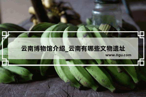 云南博物馆介绍_云南有哪些文物遗址
