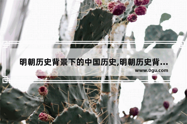 明朝历史背景下的中国历史,明朝历史背景下的中国历史
