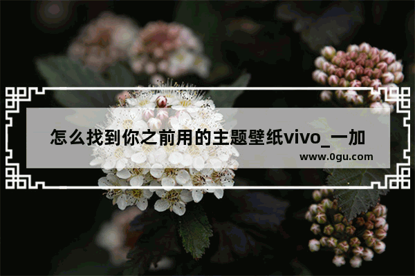 怎么找到你之前用的主题壁纸vivo_一加手机怎么看历史壁纸
