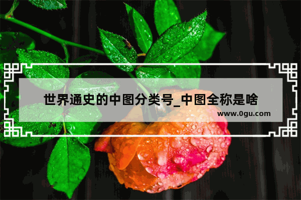 世界通史的中图分类号_中图全称是啥