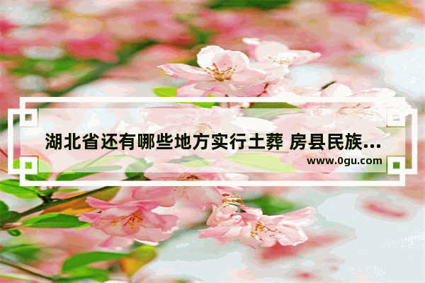 湖北省还有哪些地方实行土葬 房县民族习俗