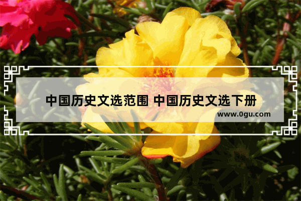 中国历史文选范围 中国历史文选下册