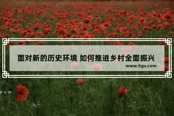 面对新的历史环境 如何推进乡村全面振兴 历史文化资源对乡村振兴