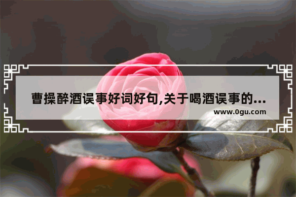 曹操醉酒误事好词好句,关于喝酒误事的历史故事