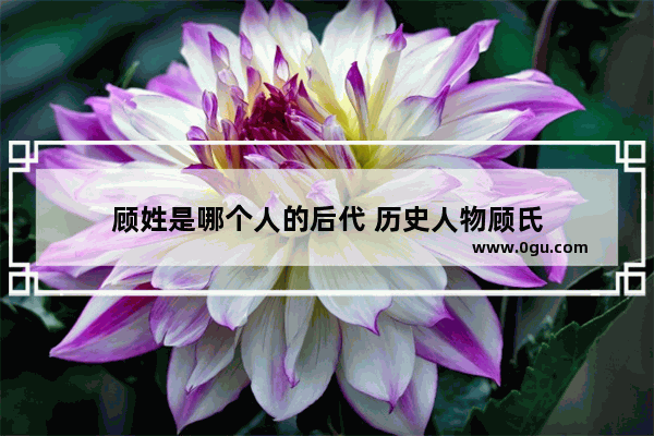 顾姓是哪个人的后代 历史人物顾氏