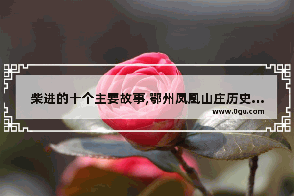 柴进的十个主要故事,鄂州凤凰山庄历史文化