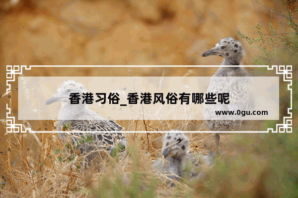 香港习俗_香港风俗有哪些呢