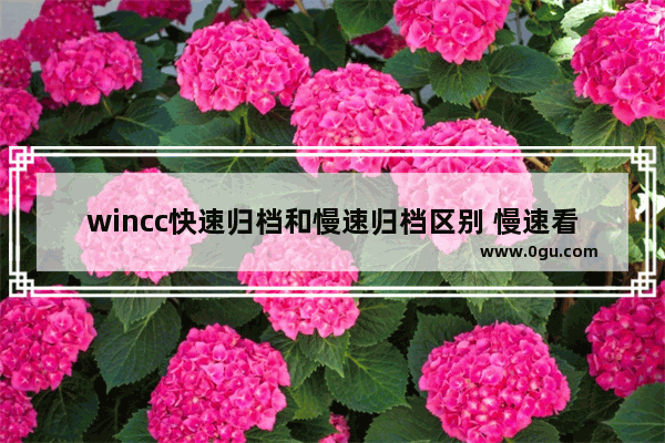 wincc快速归档和慢速归档区别 慢速看世界历史