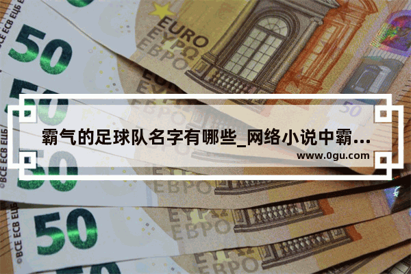 霸气的足球队名字有哪些_网络小说中霸气的外号