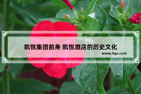 凯悦集团前身 凯悦酒店的历史文化