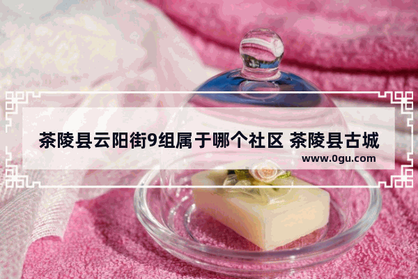 茶陵县云阳街9组属于哪个社区 茶陵县古城历史文化