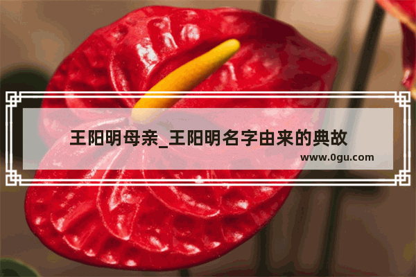 王阳明母亲_王阳明名字由来的典故