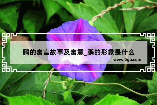 鹏的寓言故事及寓意_鹏的形象是什么