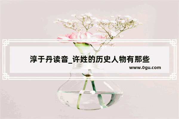 淳于丹读音_许姓的历史人物有那些