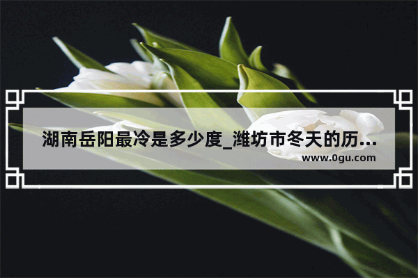 湖南岳阳最冷是多少度_潍坊市冬天的历史最低气温是多少