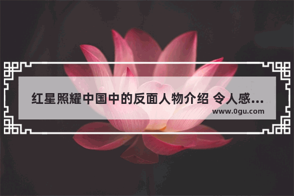 红星照耀中国中的反面人物介绍 令人感到绝望的历史人物