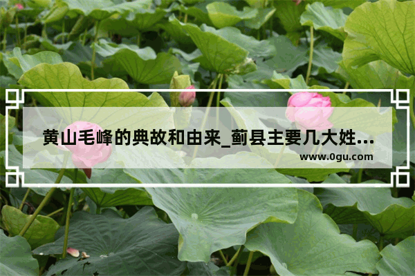 黄山毛峰的典故和由来_蓟县主要几大姓氏来源