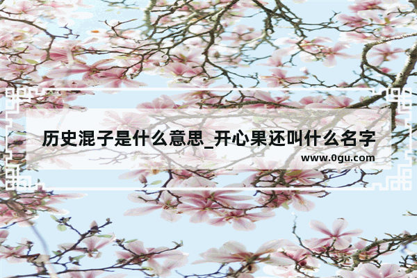 历史混子是什么意思_开心果还叫什么名字
