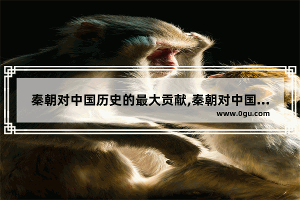 秦朝对中国历史的最大贡献,秦朝对中国历史的伟大贡献