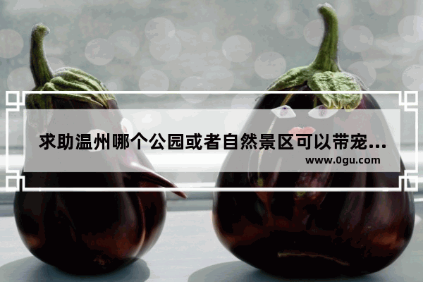 求助温州哪个公园或者自然景区可以带宠物入内的呢,温州太平寺历史故事介绍