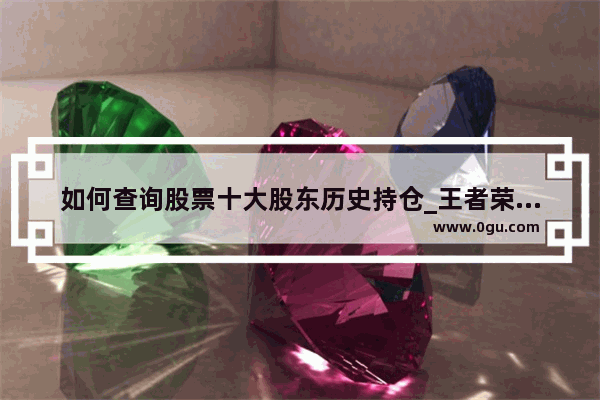 如何查询股票十大股东历史持仓_王者荣耀怎么看以前自己改过的名字