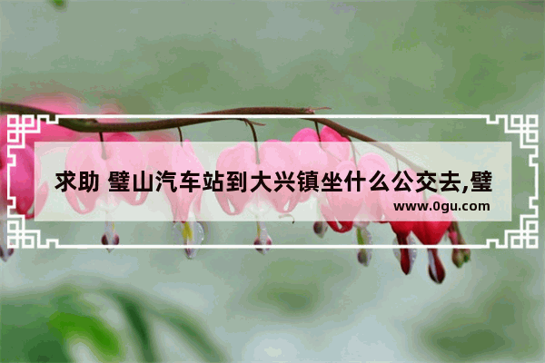 求助 璧山汽车站到大兴镇坐什么公交去,璧山大兴镇历史文化