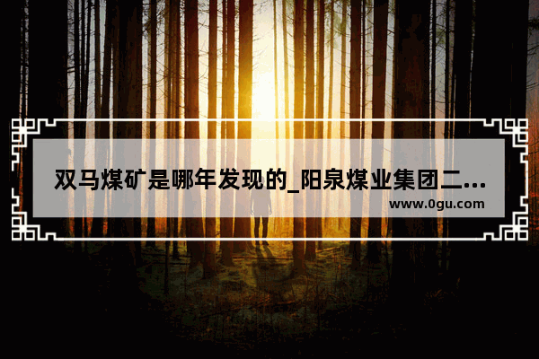 双马煤矿是哪年发现的_阳泉煤业集团二矿多种经营总公司介绍