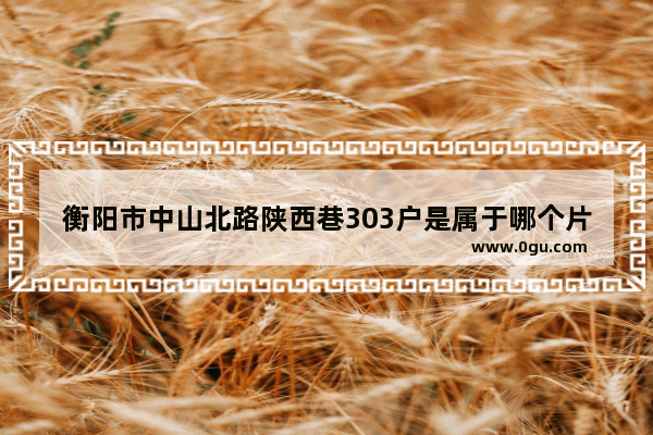 衡阳市中山北路陕西巷303户是属于哪个片区_衡阳著名的小巷子