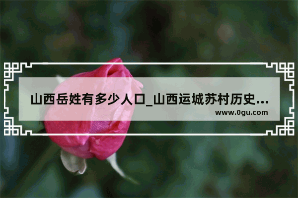 山西岳姓有多少人口_山西运城苏村历史人物
