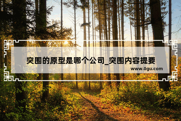 突围的原型是哪个公司_突围内容提要