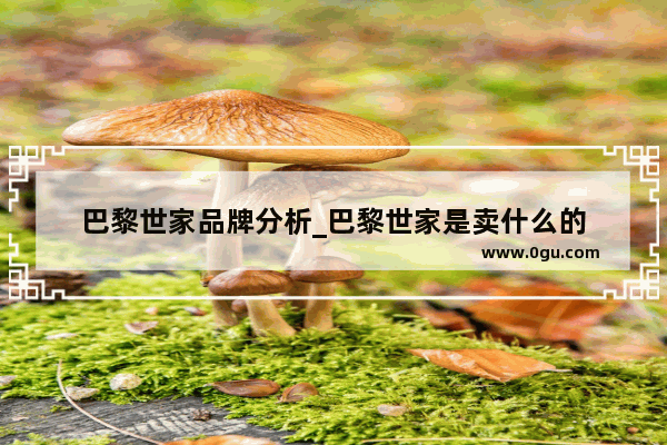 巴黎世家品牌分析_巴黎世家是卖什么的
