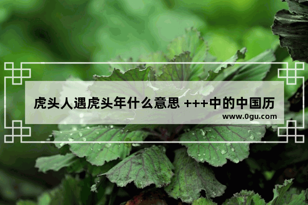 虎头人遇虎头年什么意思 +++中的中国历史