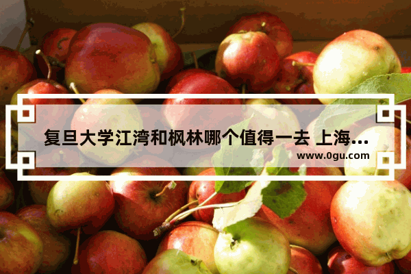 复旦大学江湾和枫林哪个值得一去 上海枫林历史文化
