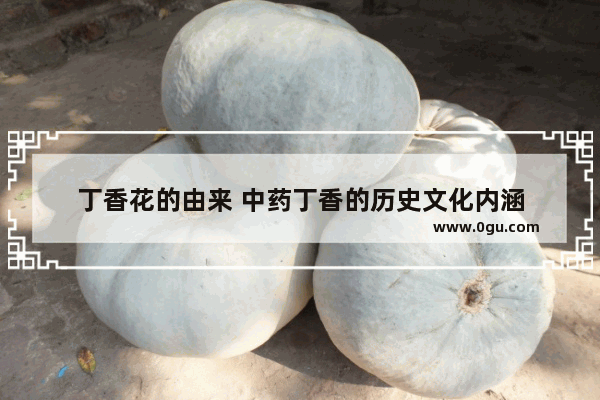 丁香花的由来 中药丁香的历史文化内涵