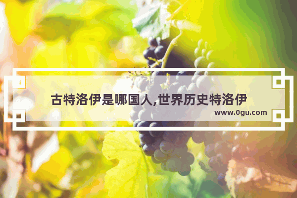 古特洛伊是哪国人,世界历史特洛伊